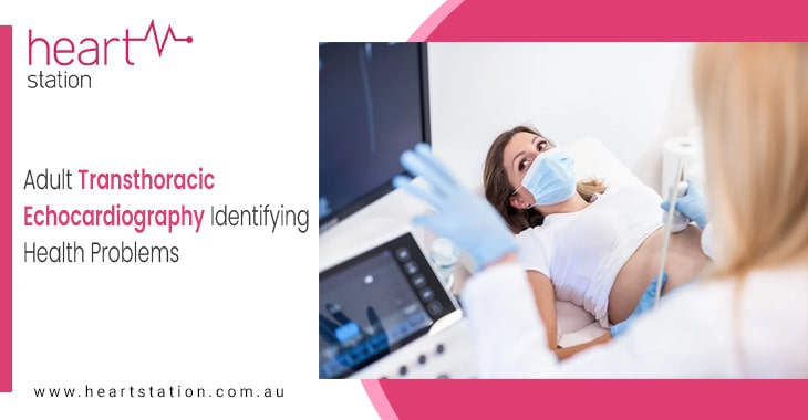 Adult Transthoracic Echocardiography Identifying Health Problems